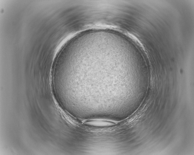 X0000057071183200510071425