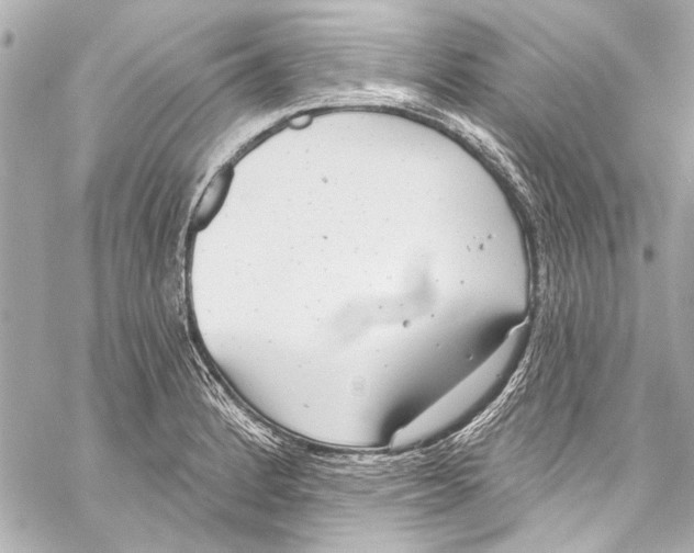 X0000057071184200510071424