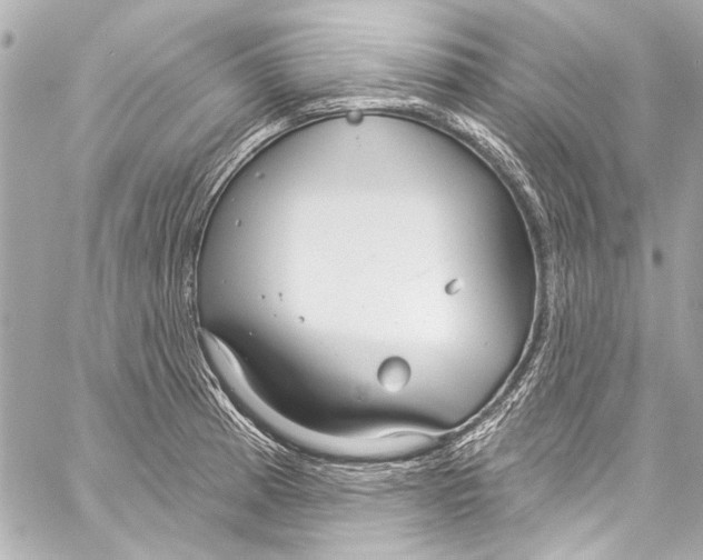 X0000057071185200510071424