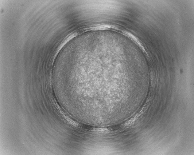 X0000057071186200510071424