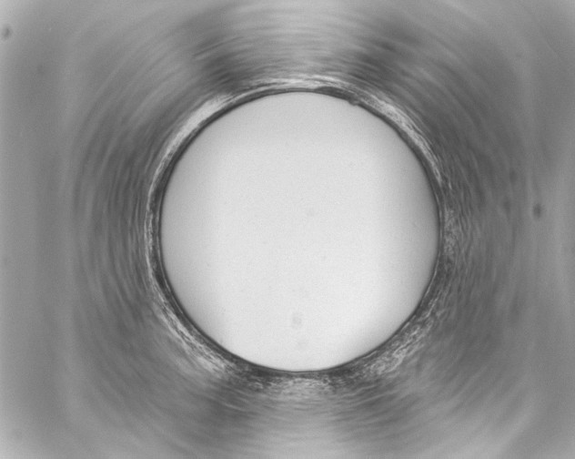 X0000057071187200510071424