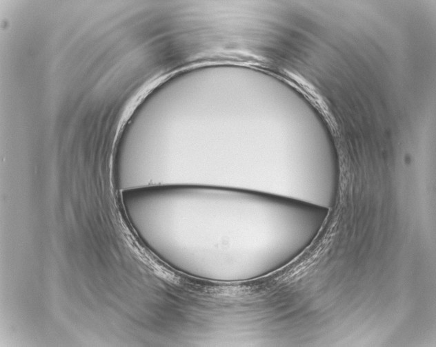 X0000057071188200510071424