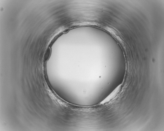 X0000057071189200510071424