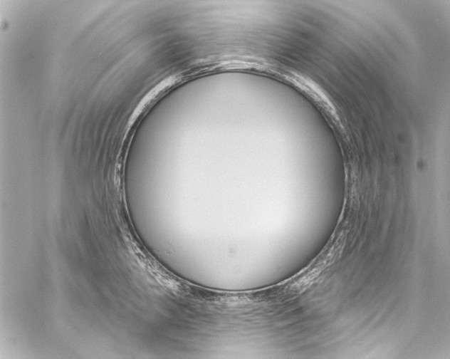 X0000057071190200510071424