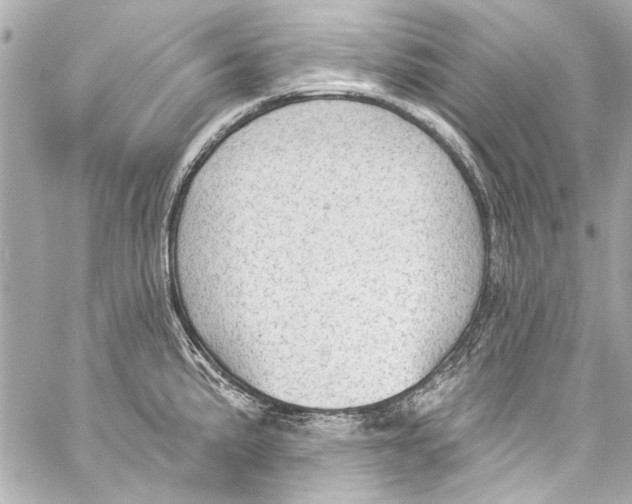 X0000057071191200510071424