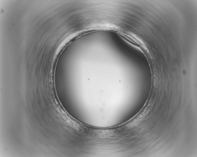 X0000057071192200510071424