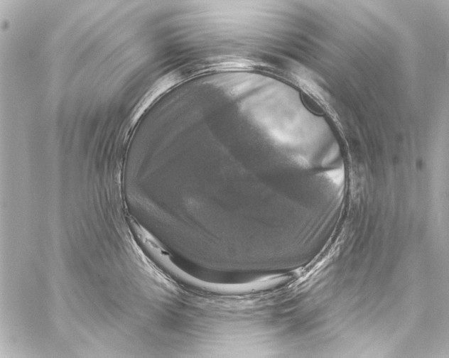 X0000057071194200510071424