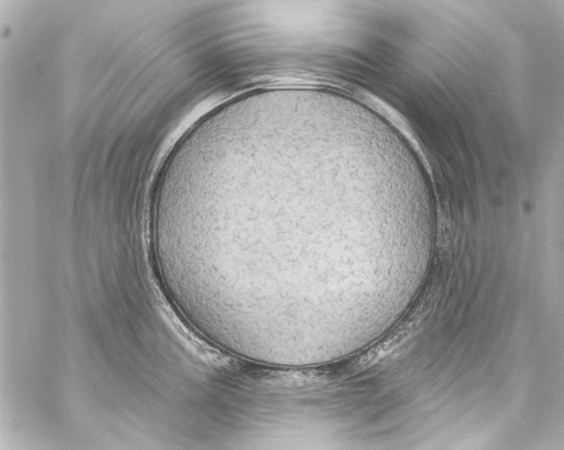 X0000057071195200510071424