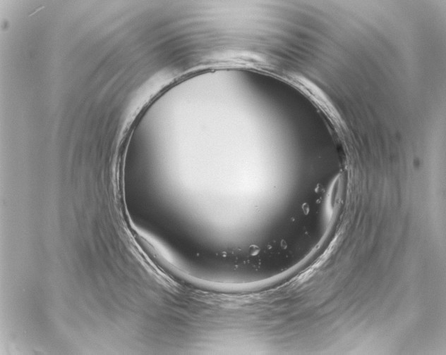 X0000057071196200510071424