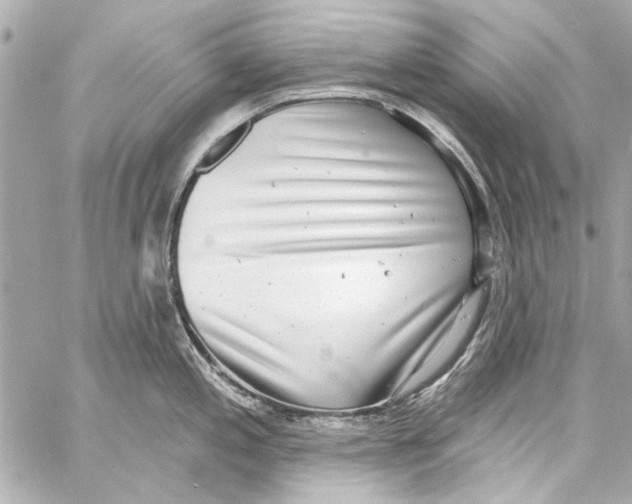 X0000057071197200510071424