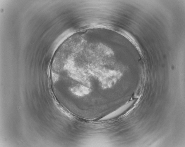 X0000057071198200510071424