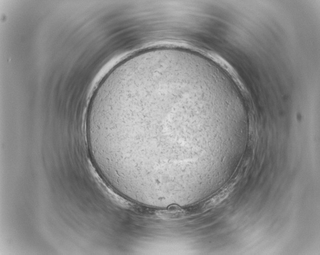 X0000057071199200510071424