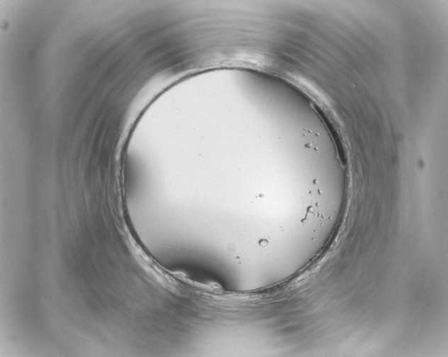 X0000057071200200510071424