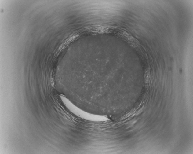 X0000057071202200510071423