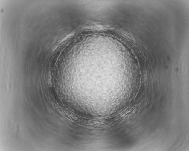 X0000057071205200510071423