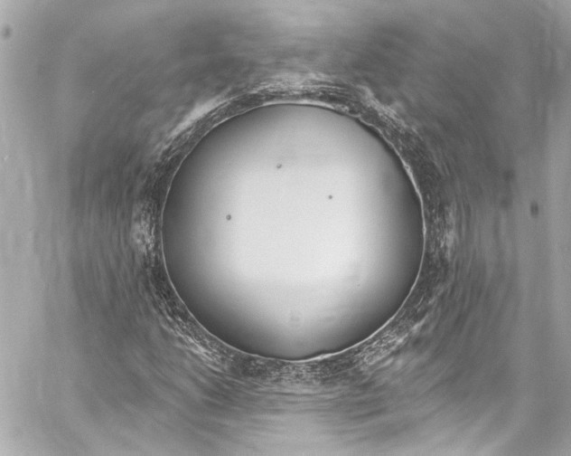 X0000057071206200510071424