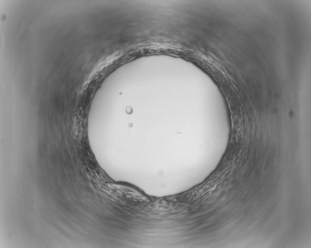 X0000057071207200510071424