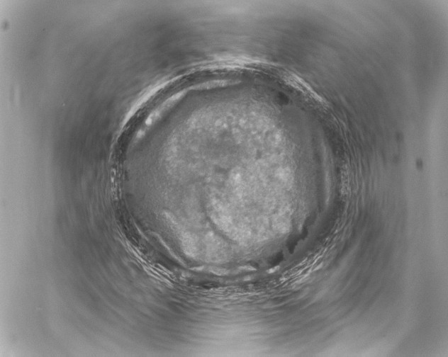 X0000057071208200510071424