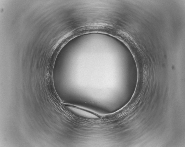 X0000057071210200510071424