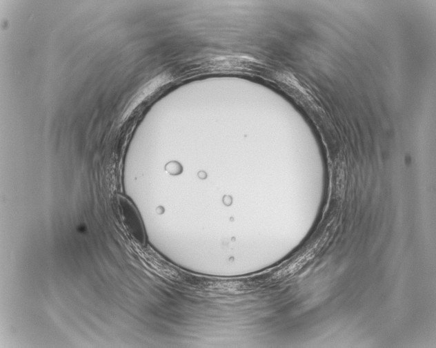 X0000057071211200510071424