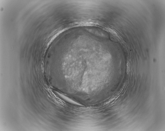 X0000057071212200510071424