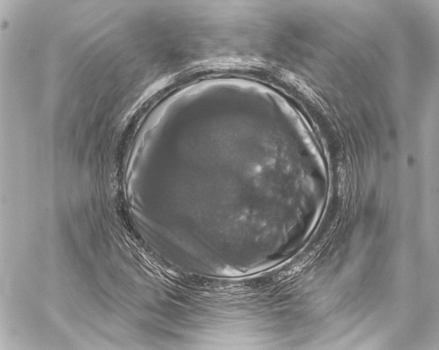 X0000057071213200510071424