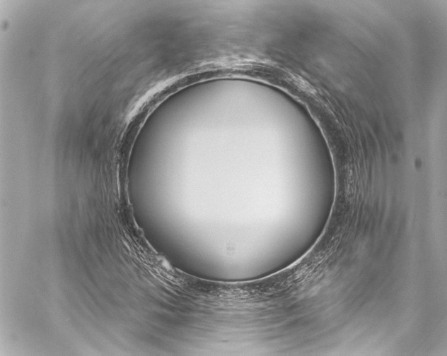 X0000057071214200510071424