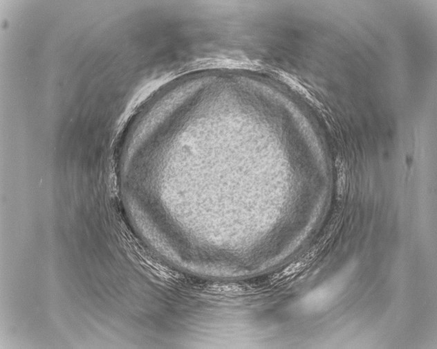 X0000057071215200510071424