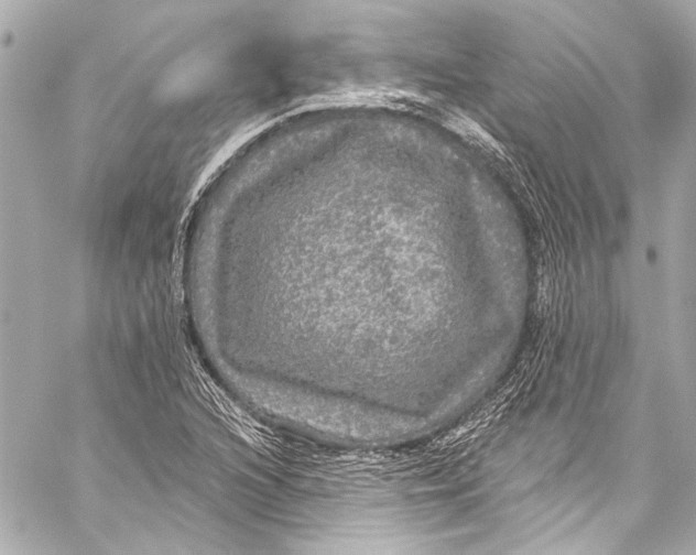 X0000057071216200510071424