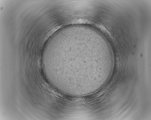 X0000057071217200510071424