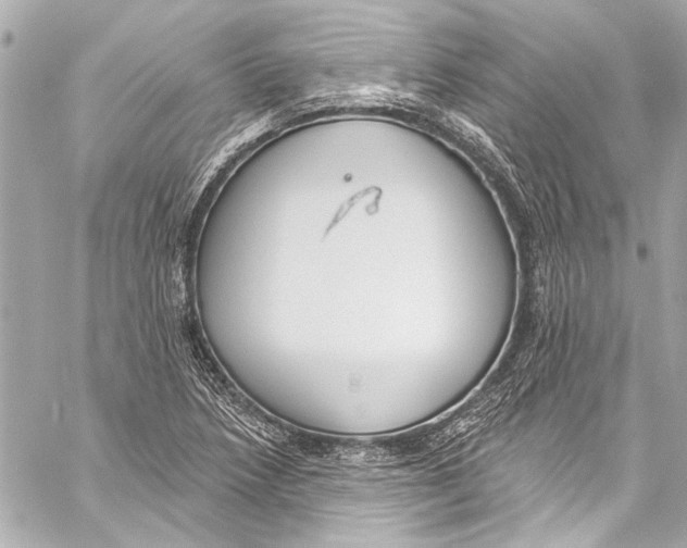 X0000057071218200510071424