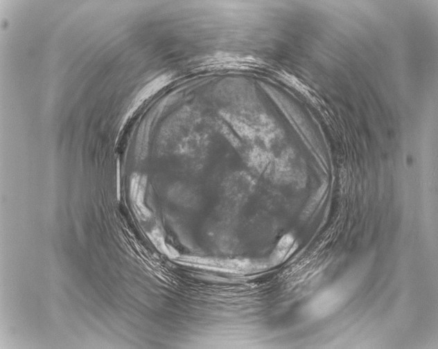 X0000057071219200510071424