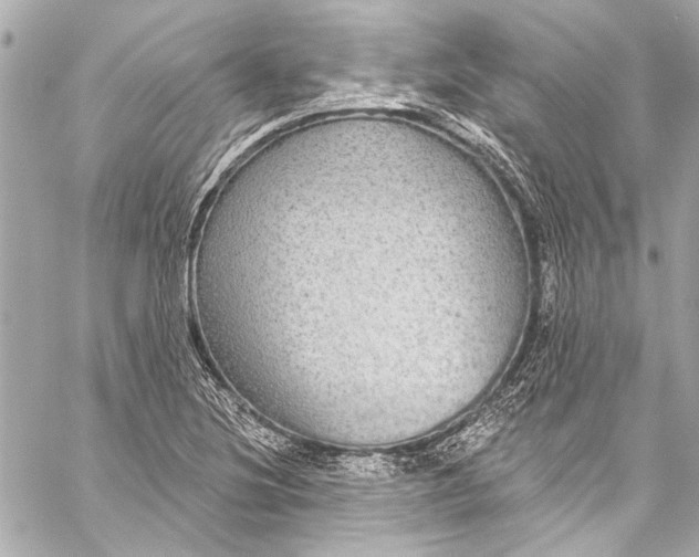 X0000057071220200510071424