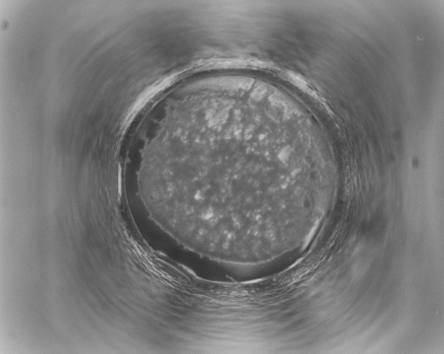 X0000057071221200510071424