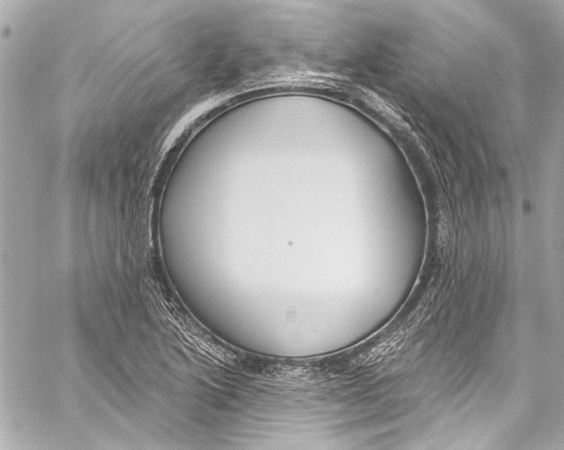 X0000057071222200510071424