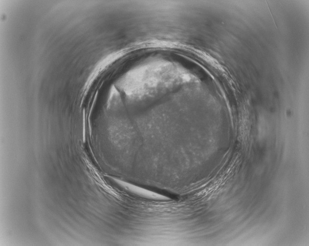 X0000057071223200510071424