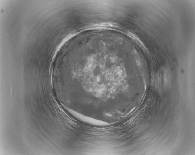 X0000057071224200510071424