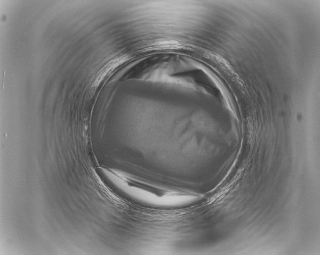 X0000057071225200510071424