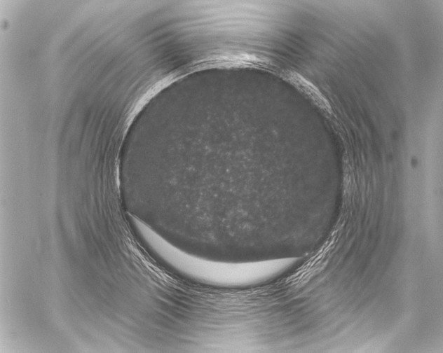 X0000057071226200510071424