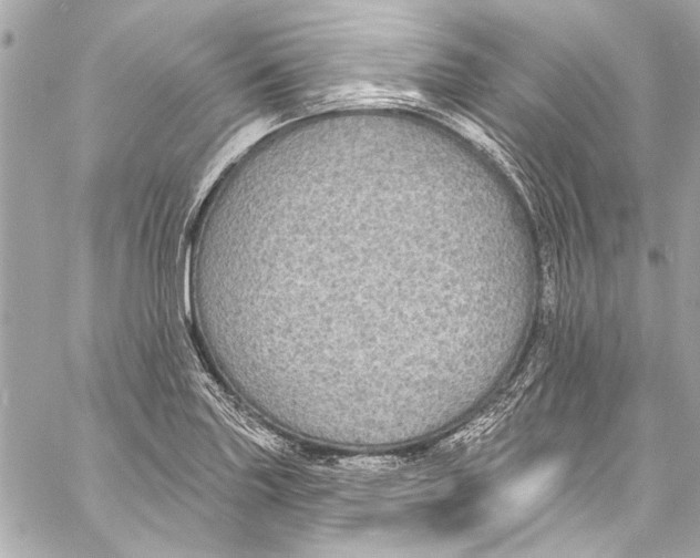 X0000057071227200510071424