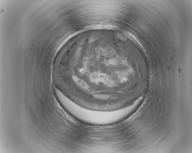 X0000057071228200510071424