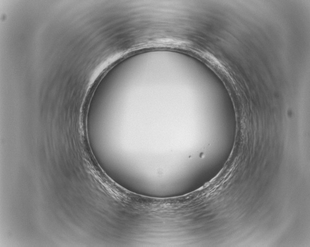 X0000057071230200510071424