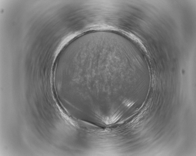 X0000057071231200510071424