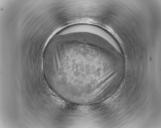 X0000057071232200510071424