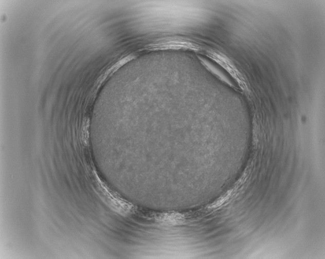 X0000057071233200510071424