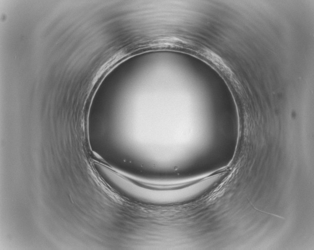 X0000057071234200510071424