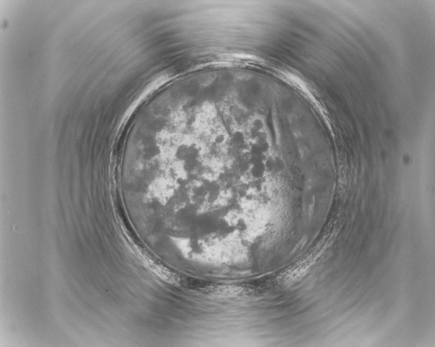 X0000057071235200510071424