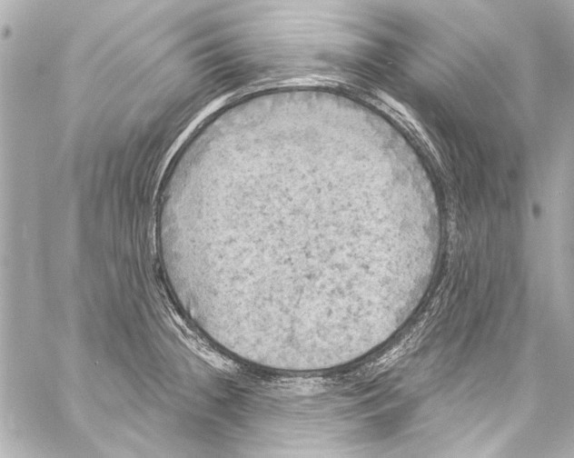 X0000057071236200510071424