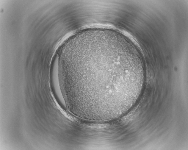 X0000057071237200510071424