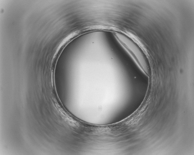 X0000057071238200510071424